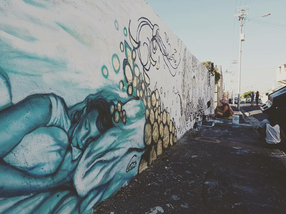 TarrynGordon's tweet photo. Repost from @Animatours of my work at the ipaf in salt river, Cape Town. https://t.co/TxHvAStMGM
