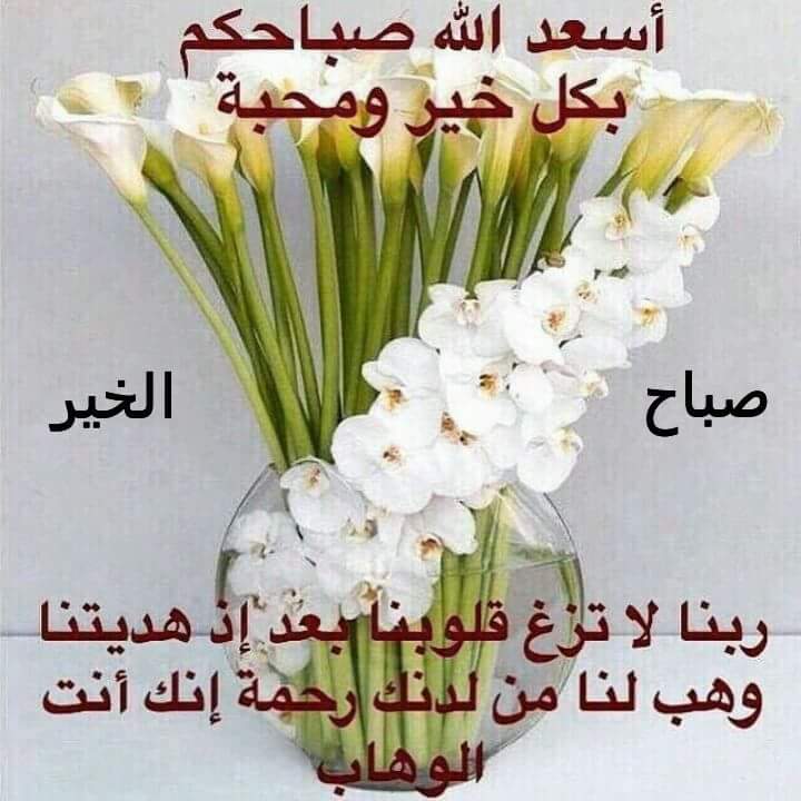 أبوعلي (@ttheiimulbzftyl) on Twitter photo 