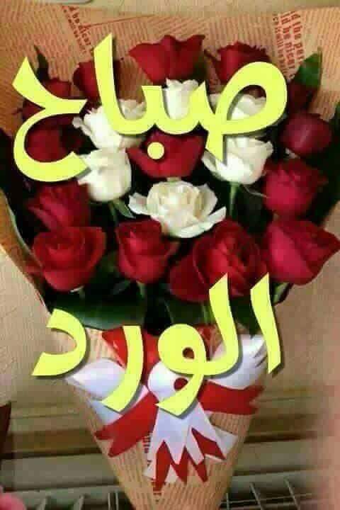 أبوعلي (@ttheiimulbzftyl) on Twitter photo 