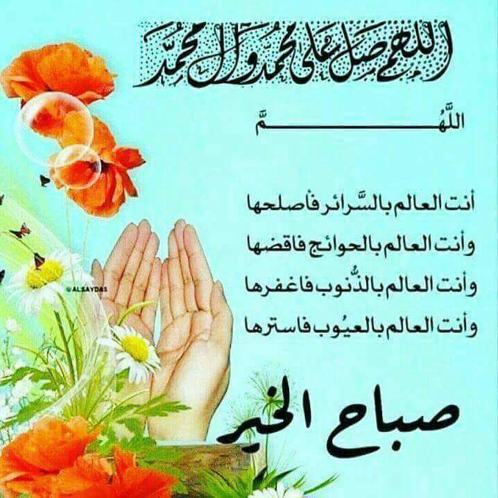 أبوعلي (@ttheiimulbzftyl) on Twitter photo 