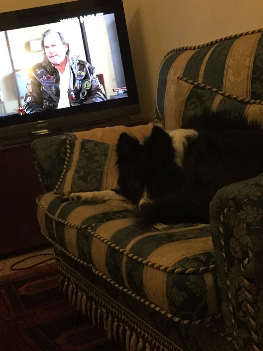 In fase relax! Il mio Argo.