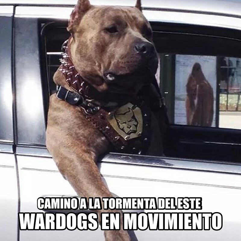 WARDOGS PANAMA tweet media