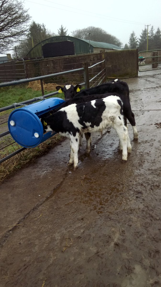 Cheap bird proof meal feeder