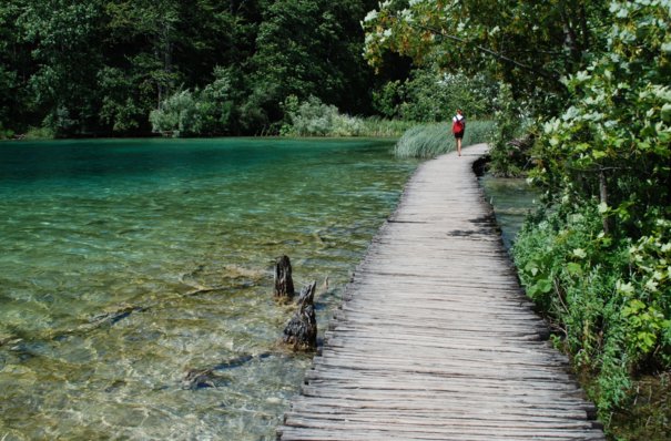 No puedes viajar a ningún lugar, a menos que te conviertas en el camino mismo - #Buddha