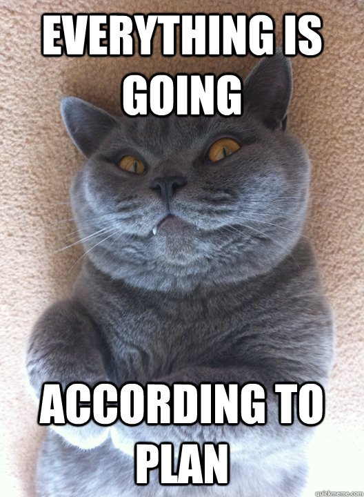 _Blue_Golf's tweet photo. Meow - your passwords are next... @cdxglasgow2017 @Blue_Yankee @Blue__Xray @Blue__Whiskey https://t.co/tJbDmMxoGR