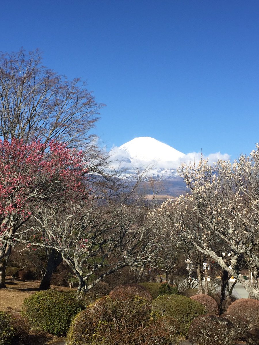 travelbunnik's tweet photo. Mother nature at her best @japan @BunnikTours @mrzariadi @DennisBunnik @travelwitharik1 @AnnaWilson345 @AvaTaylor23 @TravelJapan01 #japan https://t.co/D0E5JkRfMd