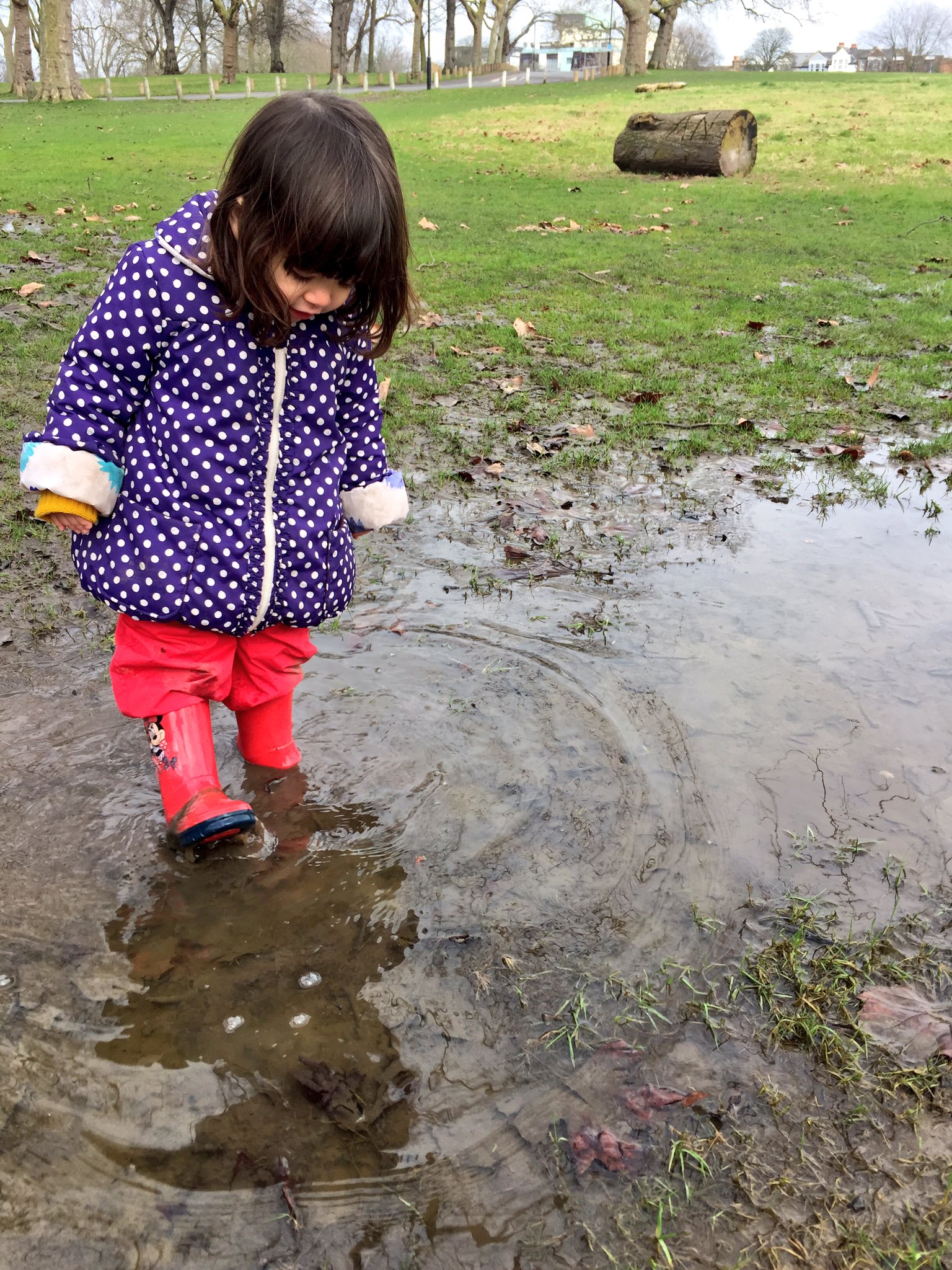 𝖸𝗈 𝖮𝗄𝖺𝖽𝖺 今朝 娘2歳3ヶ月が長靴を持ってきて Puddle Puddle とリクエスト 先週旦那と見つけたらしい水たまりポイントまで コッチ と指差して案内してくれた 私も久々に長靴履いて一緒に水たまり歩く ぬかるみの質感や重たさ 子供時代の