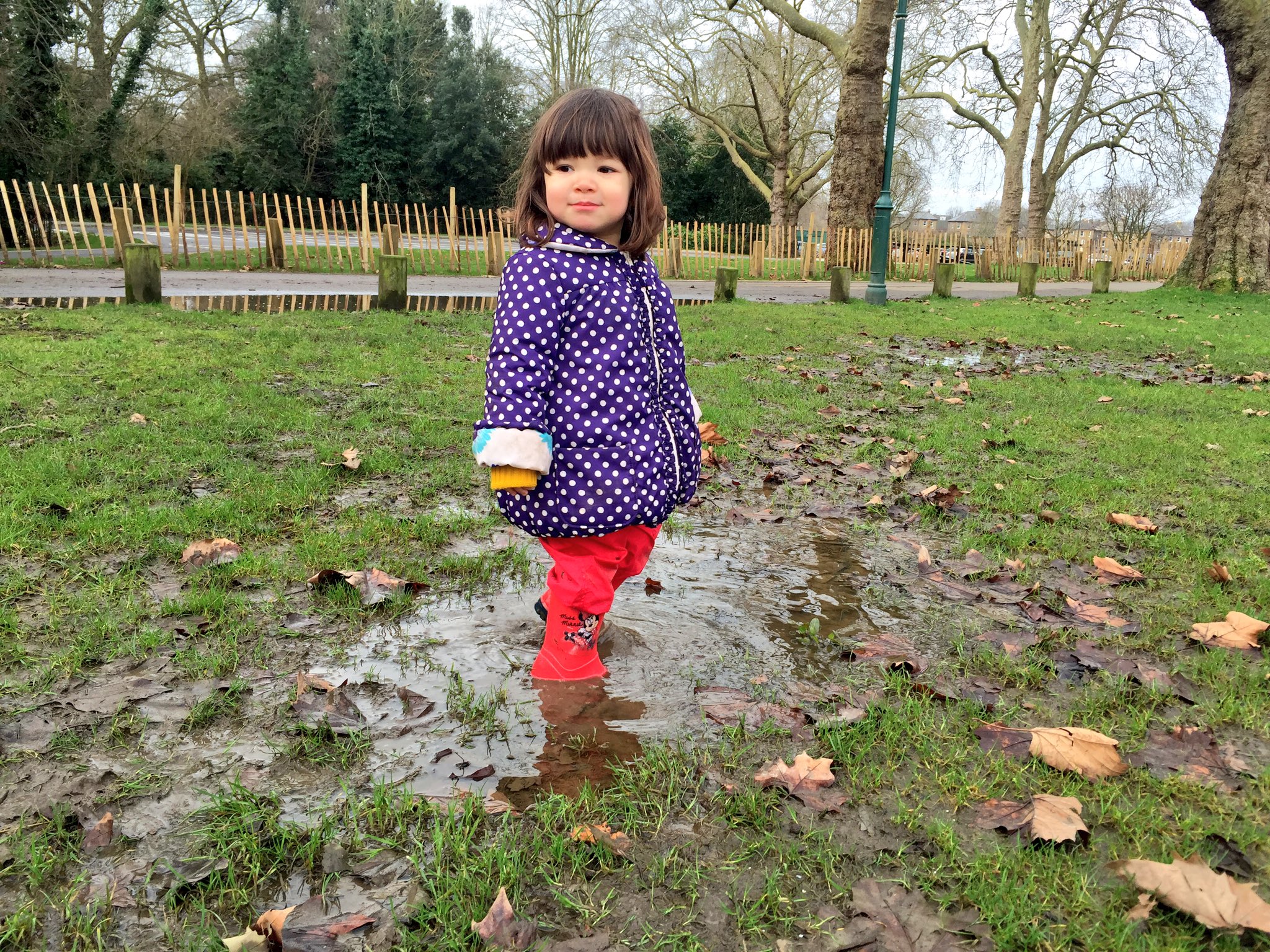 𝖸𝗈 𝖮𝗄𝖺𝖽𝖺 今朝 娘2歳3ヶ月が長靴を持ってきて Puddle Puddle とリクエスト 先週旦那と見つけたらしい水たまりポイントまで コッチ と指差して案内してくれた 私も久々に長靴履いて一緒に水たまり歩く ぬかるみの質感や重たさ 子供時代の