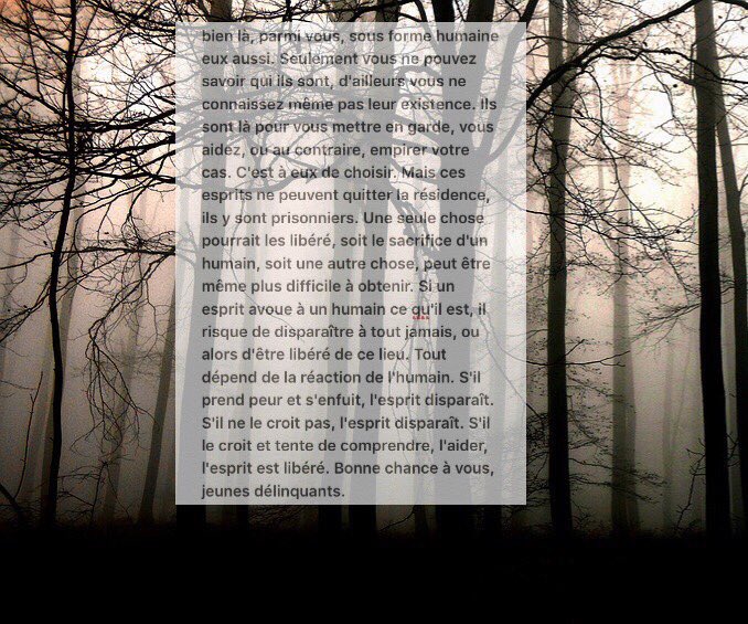 rpgResidence571's tweet photo. Contexte, inscriptions, règles : https://t.co/bfw1gnTPJX