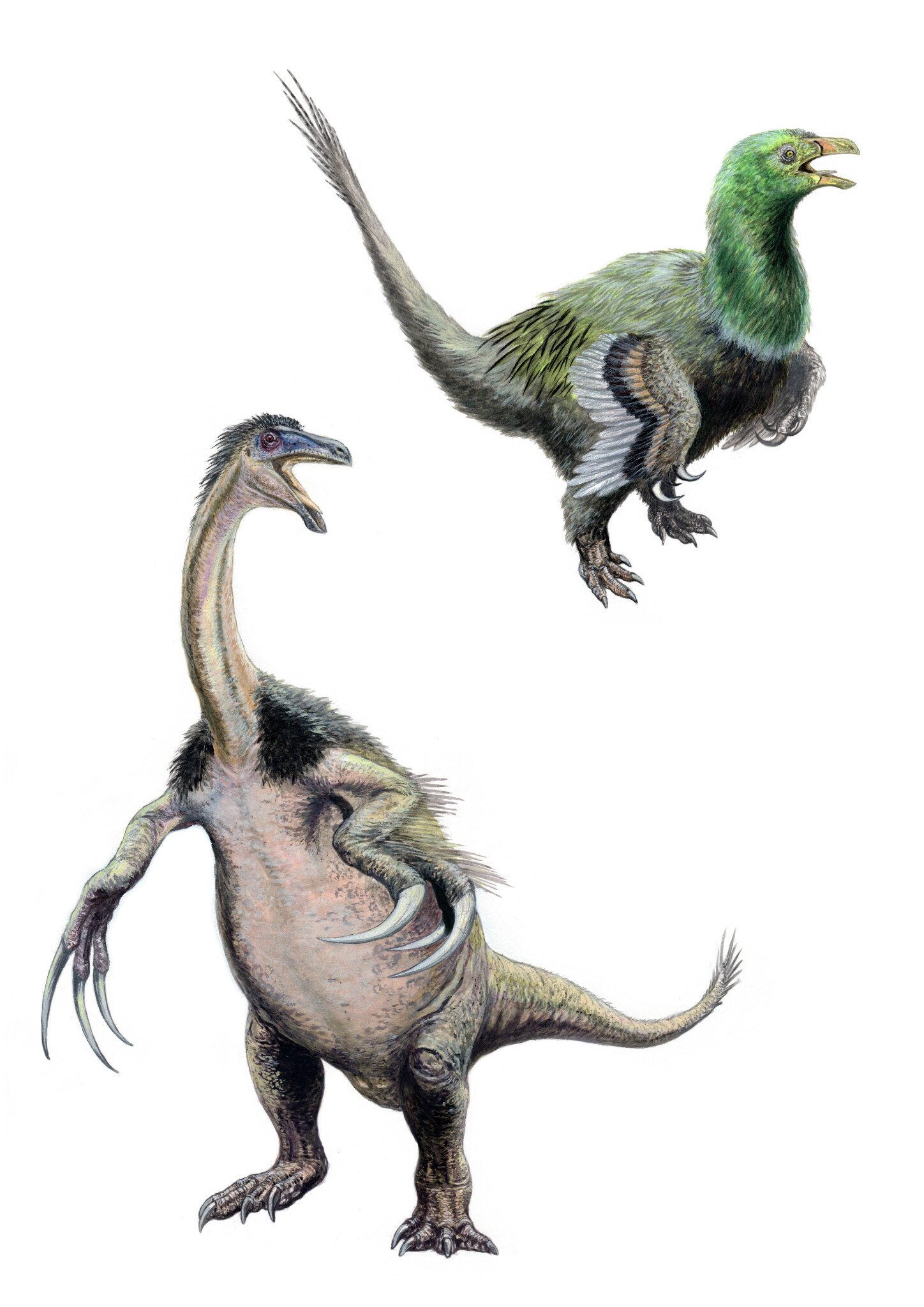 ウルフギャング，サンフランシスコ DINOSAURS ポスター(1983年) ウルフギャング，サンフランシスコ DINOSAURS ポスター(1983年