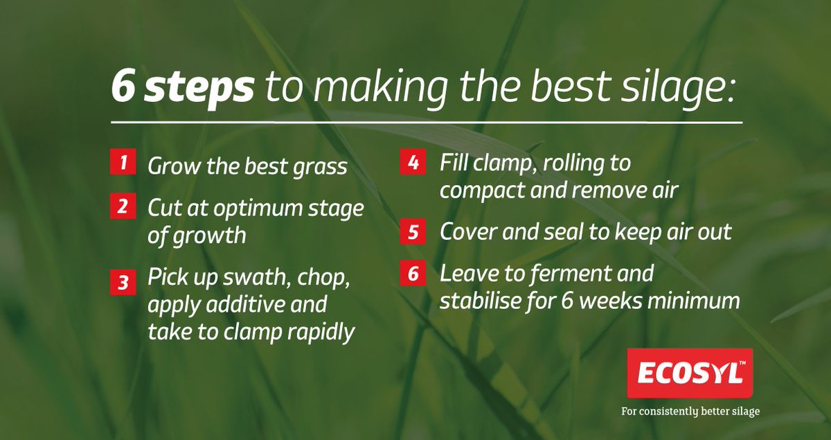 ecosyl_'s tweet photo. πΎπ 6 simple steps to making the best silage! #silage16 #consistentlybettersilage @FarmersOfTheUK @dairy_farmers https://t.co/BK4E2ucXlj