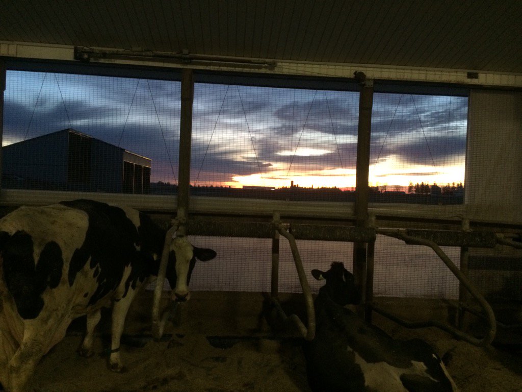 It's amazing that the curtains down and the sun coming up on a Feb morning  can make you feel remember #BellLetsTalk