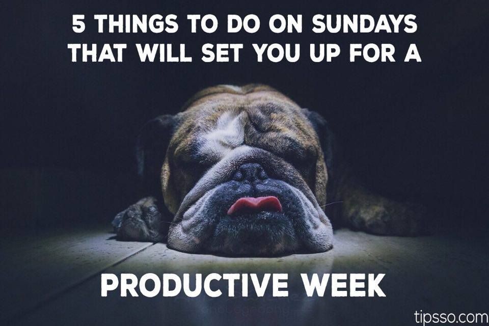 TipssoBlog's tweet photo. https://t.co/Wd116IX7IW
#productive #SundayMorning #staydriven #dononstop #makeaplan #tipsso #weekend https://t.co/77bqsP427y