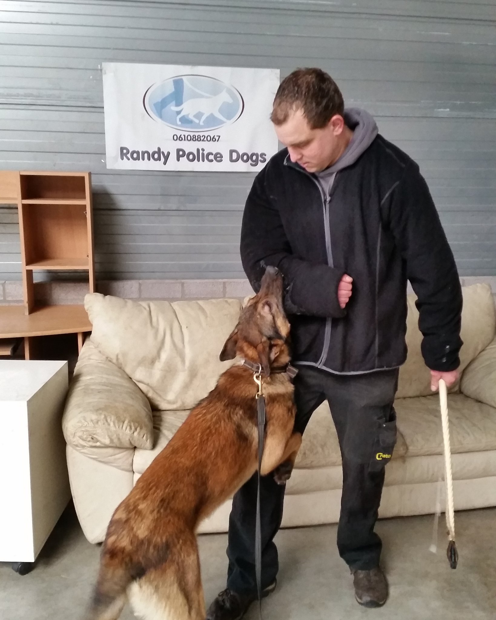 Randy 2025 police dogs