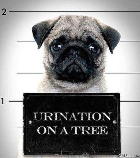 backkupsecurity's tweet image. #NationalDrinkWineDay