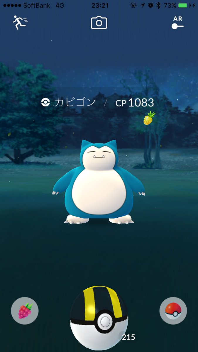 ポケモンgo パイルの実はどのポケモンに使ってる パイルの実案件選手権www ポケモンgo攻略まとめ速報