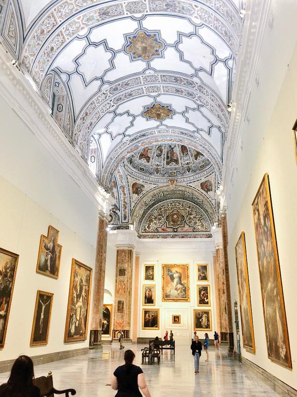 Millonesdevidas's tweet photo. ¡Museo de Bellas artes Sevilla! https://t.co/m1bZvcsOyB @andaluciamuseos @sevillaciudad https://t.co/fYWLYkL7w9