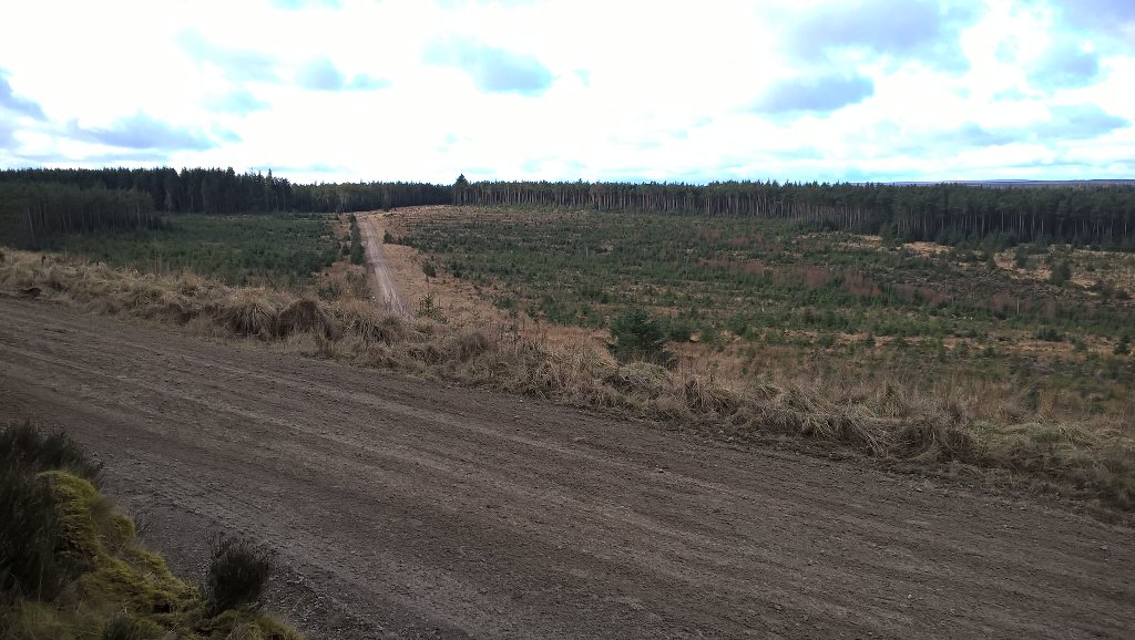 andrew_herny's tweet photo. Evaded all the 'speccy spots' and now look! That view! #RiponianRally #Rallying #SafeSpectating https://t.co/nv3gvvTB7i
