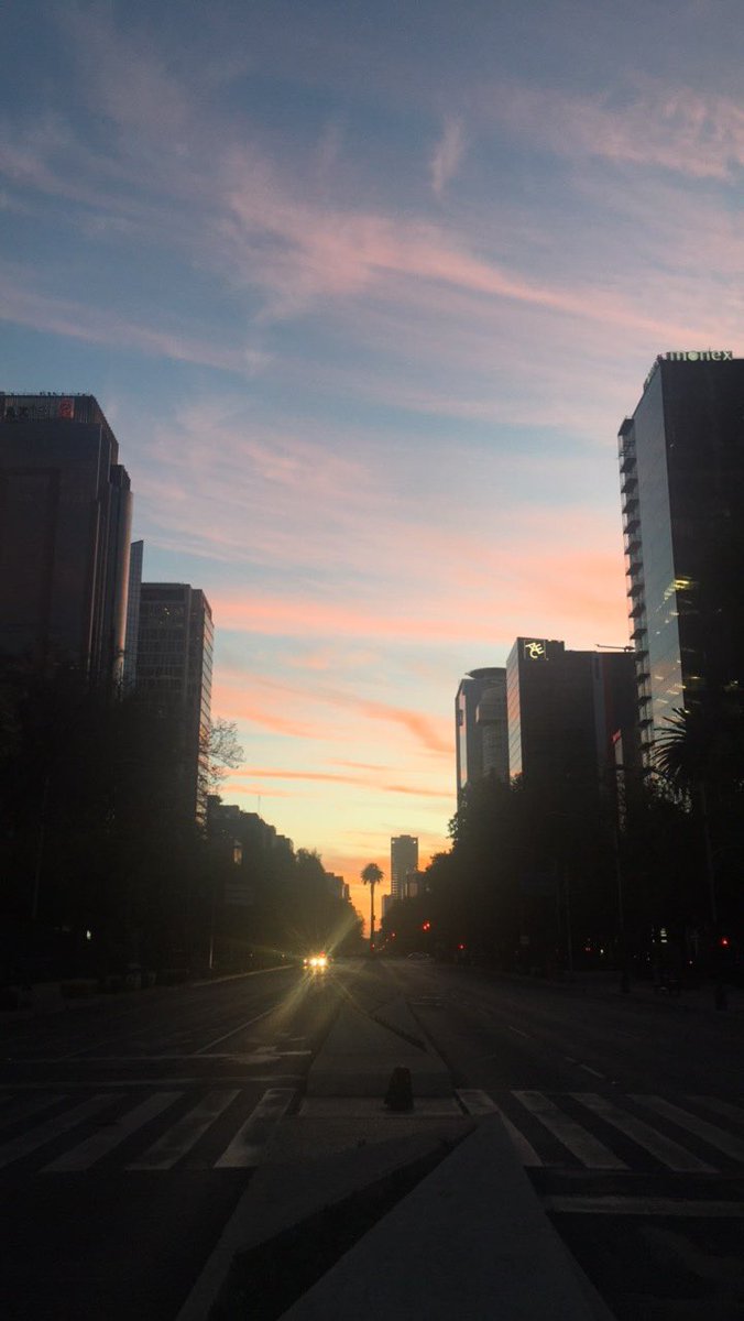 fabiolasenergy's tweet photo. Buenos días a todos los #runners desde #cdmx a darle con todo #FabiolasEnergy #WeRunMexico https://t.co/xB3jWNBsKw