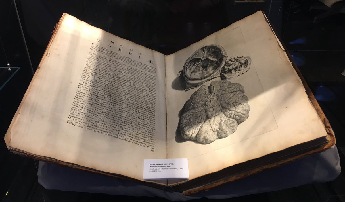 LiteraryCity's tweet image. Anatomia humani corporis by Govard Bidloo 1687 #RareBooks #fisherlibrary @Sydney_Uni #library #psychology #books #antiquarianbooks #brain