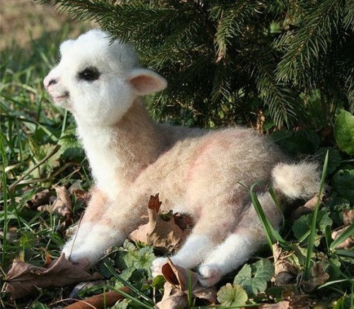 camille_kim2015's tweet photo. Have an Alpaca https://t.co/312QUuBiA4 #cuteanimals #loveanimals #pets https://t.co/f8ugJ39bAI