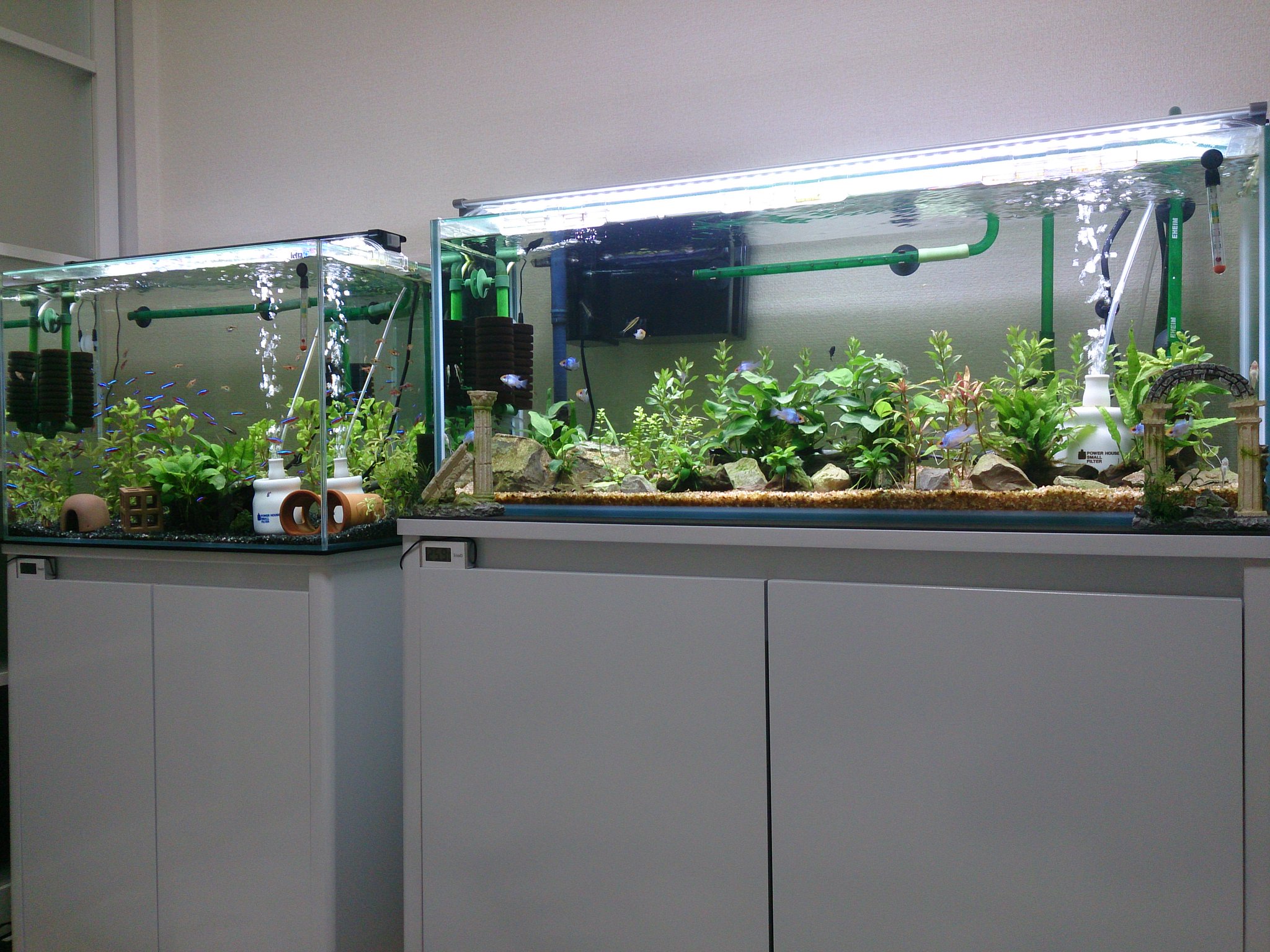 Mamoru Pa Twitter 60cm水槽と90cm水槽 90cm水槽で余った水草を 60cm水槽に移しました 激落ちくん のおかげで 土管やエアチューブに付いたコケが落ちて 新品のようにピカピカになった ノ O ノ 土日は 水槽のメンテにアクアショップ巡り2軒と アクアな休日