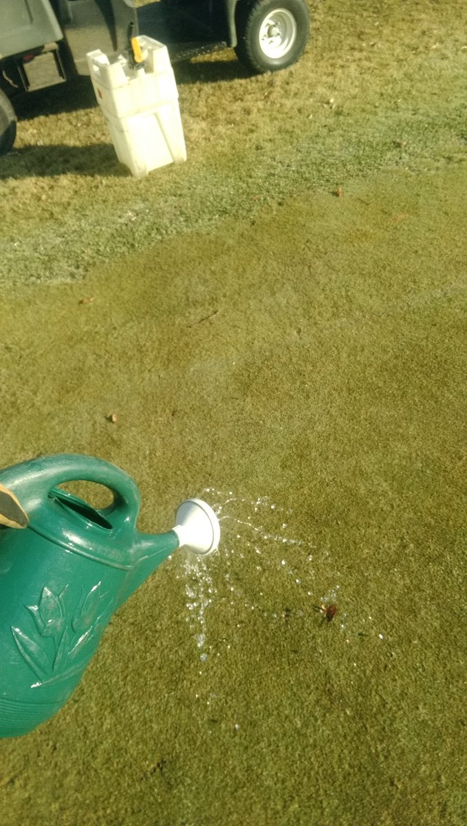 A little hand watering this beautiful February morning #keepitalive
