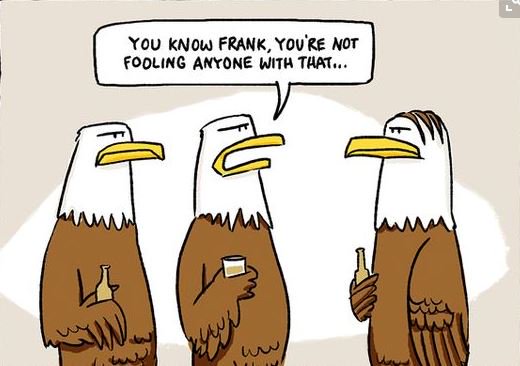 BaldGuyz's tweet image. It&apos;s best just to embrace going bald #BaldHumor #BaldEagle #Baldness #Toupee #CoverUp #BaldGuyz #MyUniversalVIP