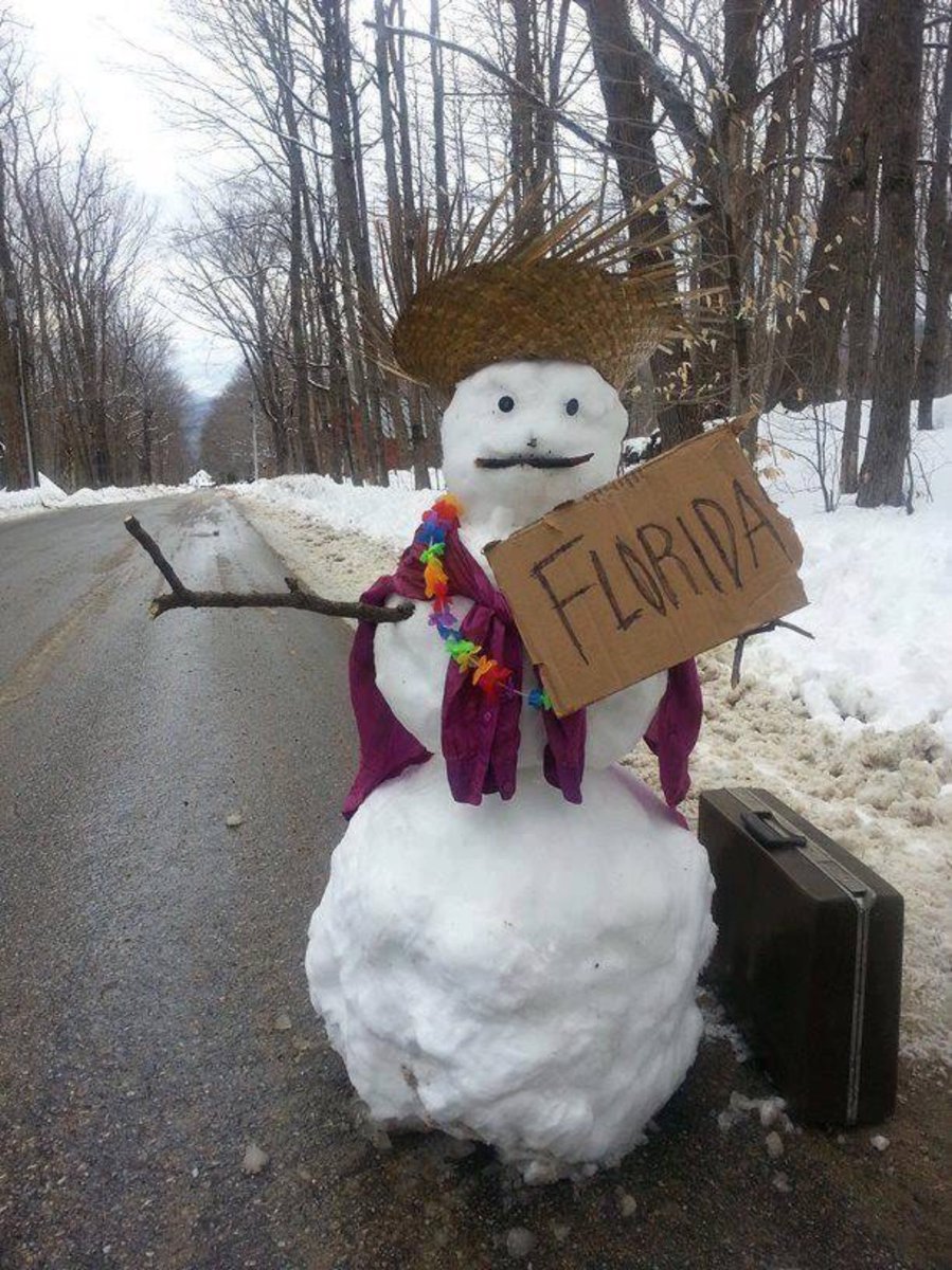 I do hope <a href="/Frosty_Official/">Frosty the Snowman</a> gets to #Florida 🌴😎