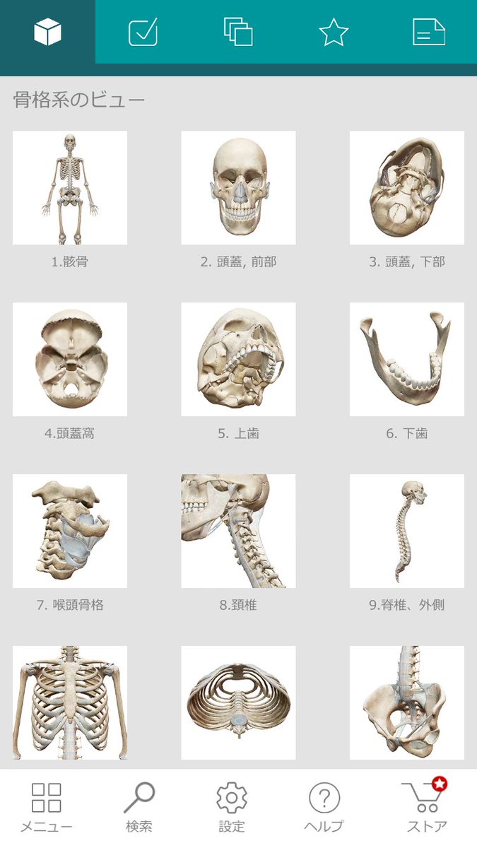 骨格を部位ごとに見れるアプリがイラストとか描く時にすごく使えそう Togetter 骨格を部位ごとに見れるアプリがイラストとか描く時にすごく使えそう Togetter