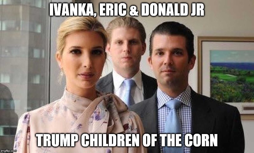 dcfairbank's tweet image. Should we assume the #TrumpChildren also have top secret access?