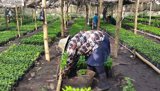 NCBACLUSA's tweet photo. Why accessing #finance matters to #coffee growers in #ElSalvador - #GoCoop #CooperativesBuild #jobs @USDAForeignAg https://t.co/Z61to89VDE https://t.co/u2NmT1GFvX