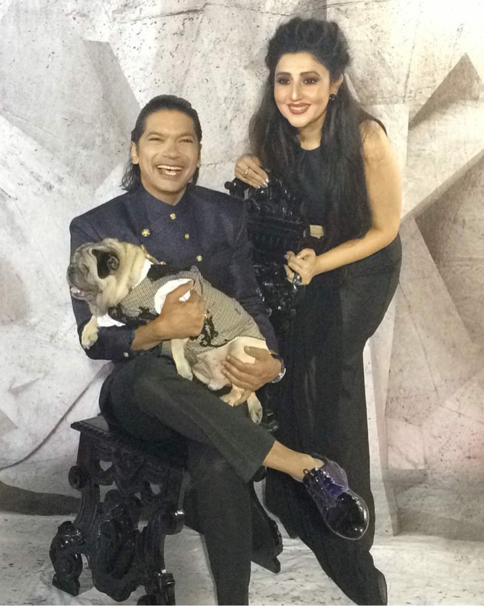 DogsGlam tweet picture