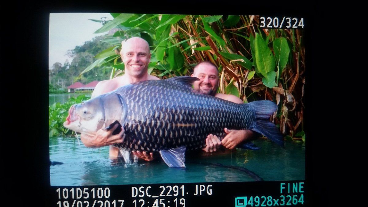DeanMacey's tweet photo. One of the beasties from today here at @GillhamsFishing. This bad boy went 120lb on the scales and fought like a fish twice it's size!👊👊👊 https://t.co/64vC00Lwhn