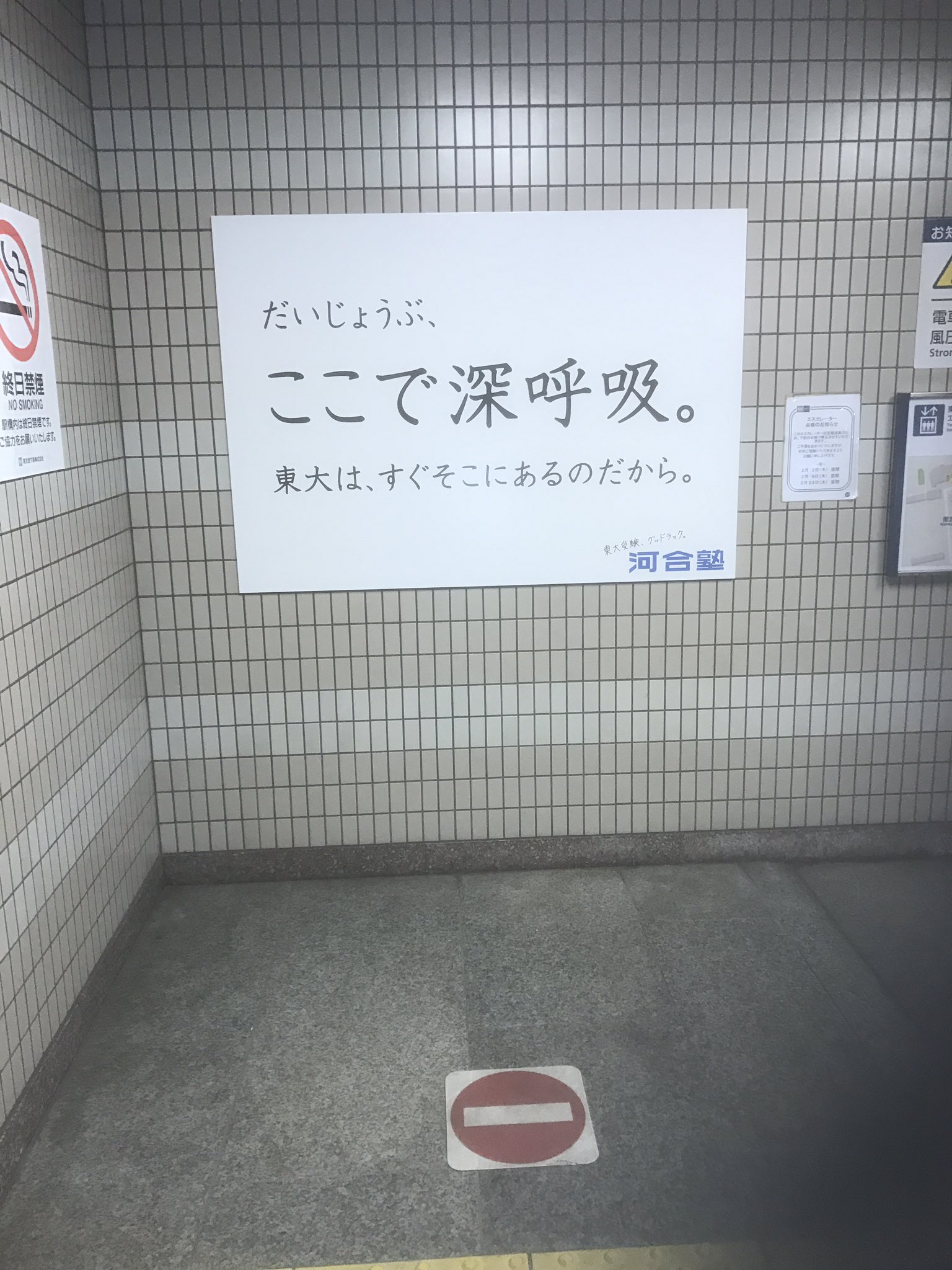 みんてぃあ Pokotan Zz Twitter