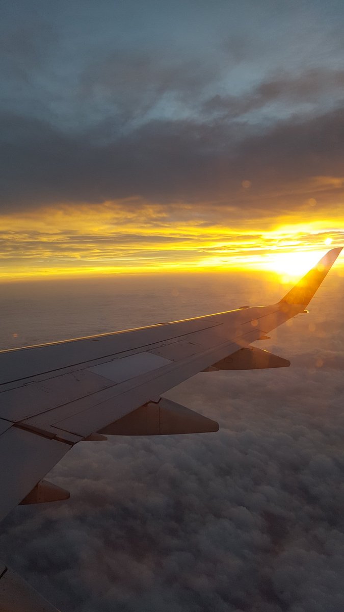 Dr. Carrie Pagliano tweet media