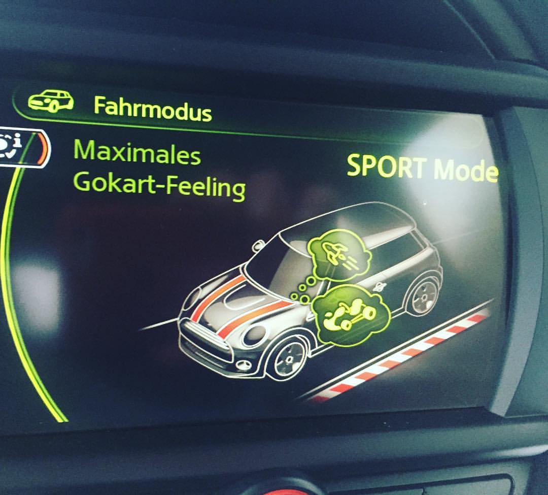 CyndieAllemann's tweet image. Really? Ho Yeah ✌️#gokartfeeling #likeit #bringiton #flatout #drivinglikeagirl