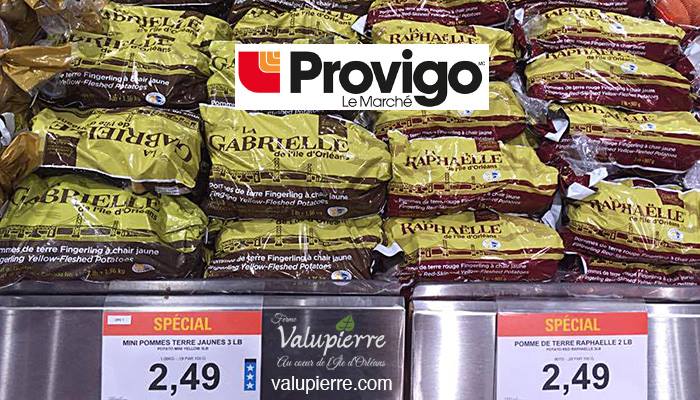 AgroQuebec's tweet photo. La Raphaëlle de l'Île d'Orléans vient se joindre à La Gabrielle de l'Île d'Orléans chez @ProvigoQc #ProvigoLeMarche #FermeValupierre https://t.co/tmQNix2w4l
