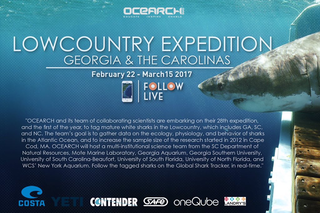 OCEARCH tweet media
