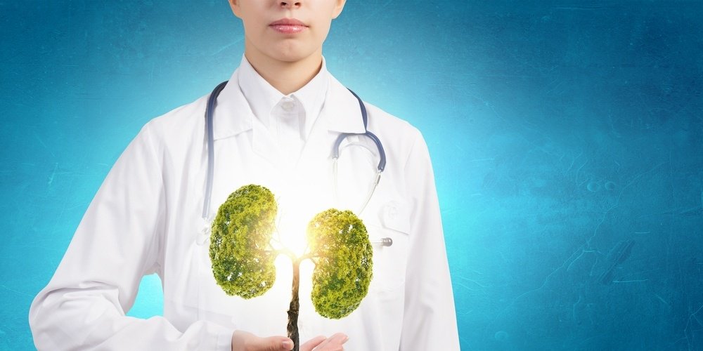 RhielSolutions's tweet photo. Indoor air quality is one of the most important factors in the health of your school. Learn more about IAQ! https://t.co/26BSmiKNOK https://t.co/Ec2Qz5T3PZ