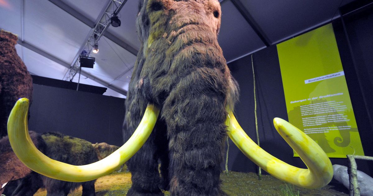 Cool as hell. 

Imagine. We are literally one step closer to Jurassic Park!

crwd.fr/2lYyXFz