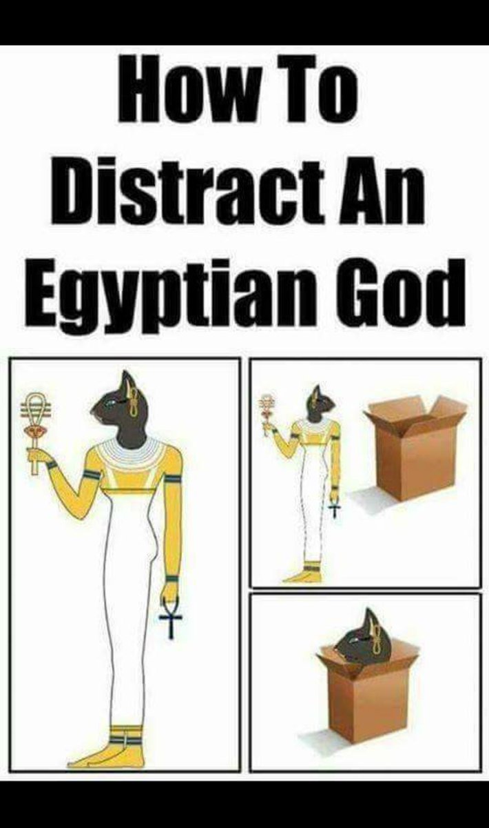 Dicetress (@dmdicetress) on Twitter photo 