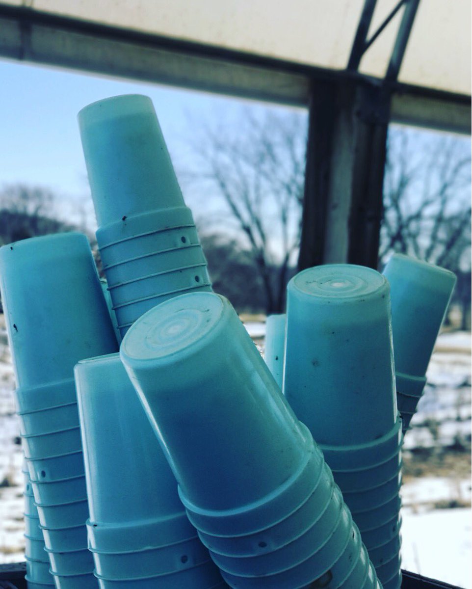 amyemathe's tweet photo. They aren't doing any good stacked up like this! #itappedthat #sundayfunday #maplesyrup17 #ontag https://t.co/ZFxlUU7cj0