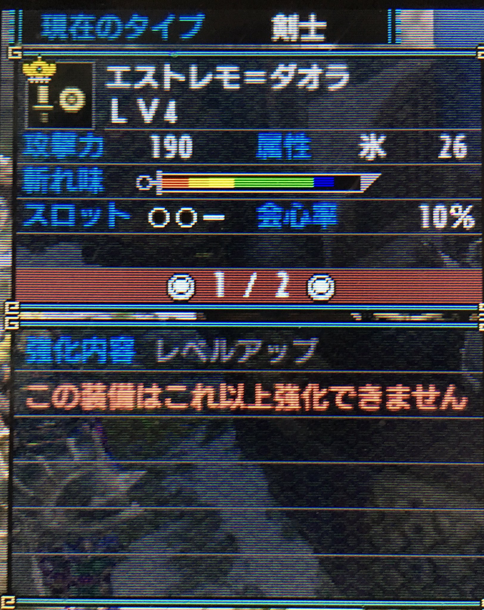 いにしえの龍骨 いにしえの龍骨