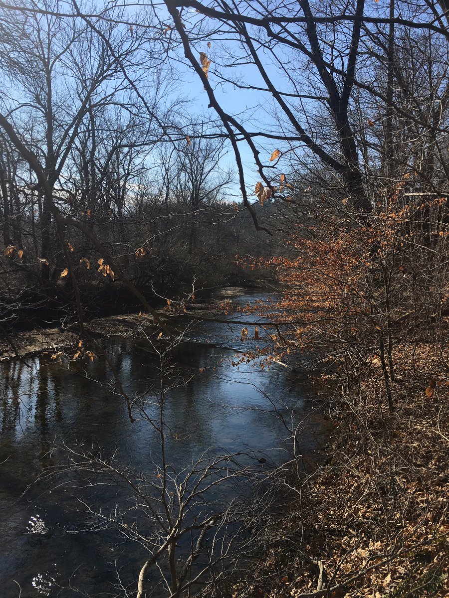 jtm0412's tweet photo. Beautiful morning run @WhiteClayCreek is this really February? https://t.co/h1F057NWou