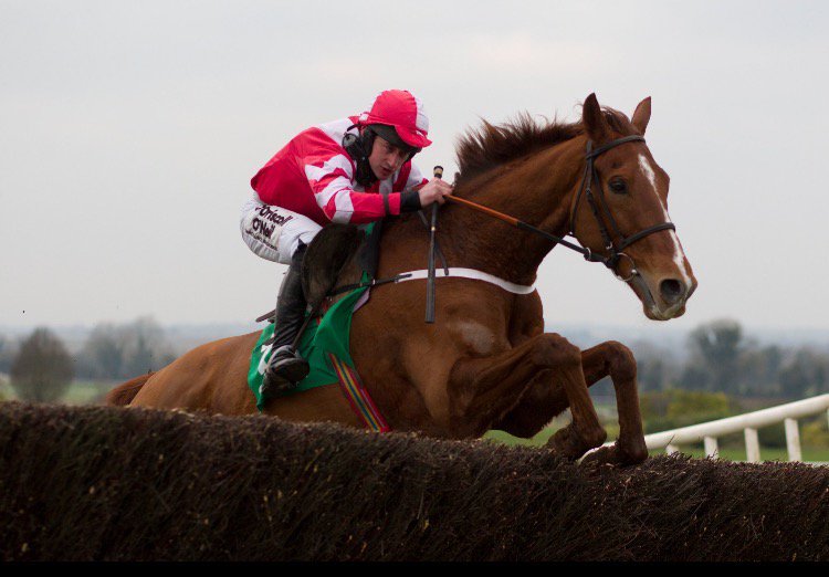 3 time grade 2 winner Acapella Bourgeois was impressive over 3 miles and fences. RHBloodstock purchase for <a href="/shtrainer/">sandrahughes</a>