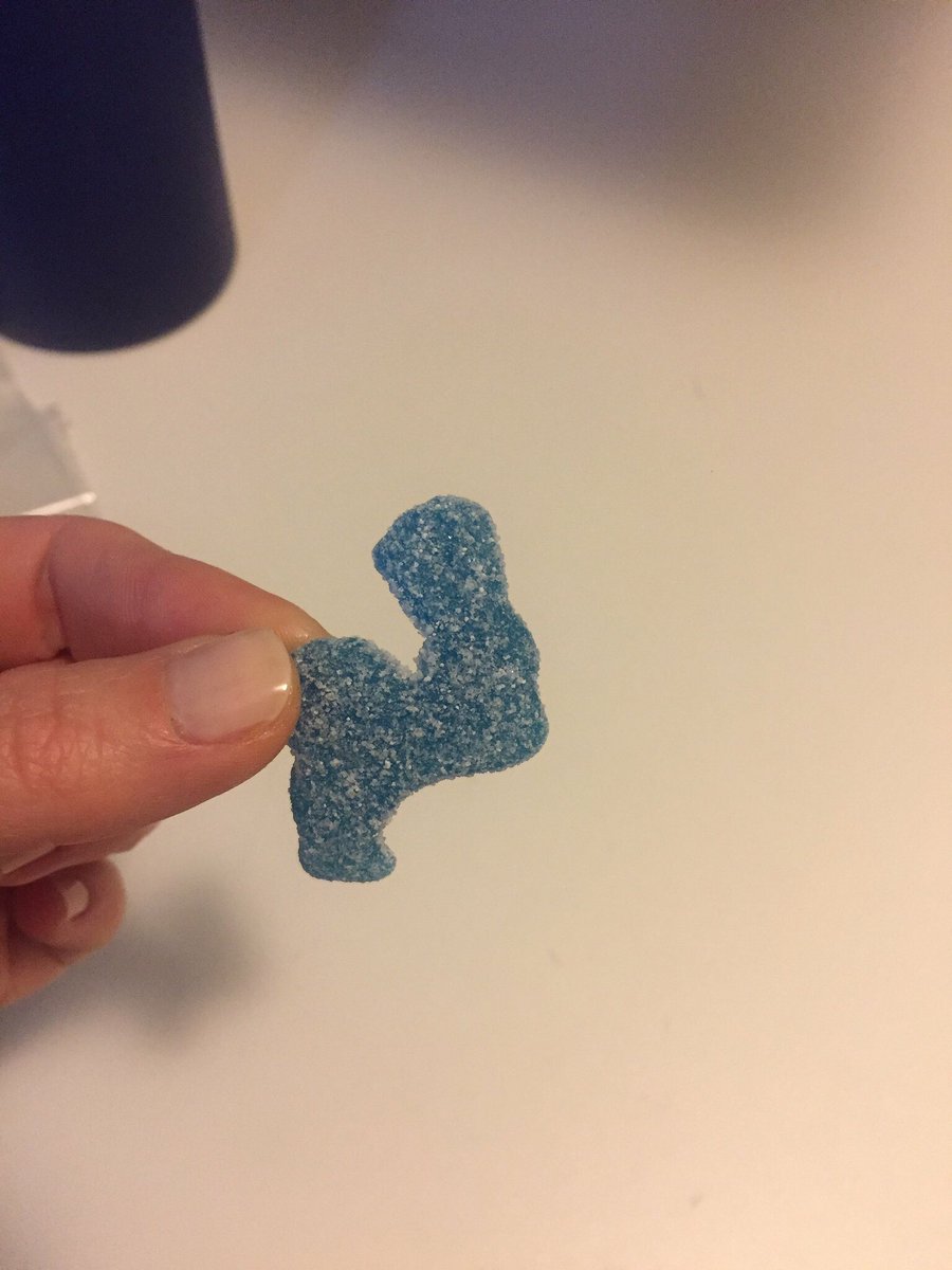 MissJennaB's tweet photo. Does this @SourPatchKids look like the #HarambeCheeto? Now for sale. Serious bids only. https://t.co/LQFpTvMT3o