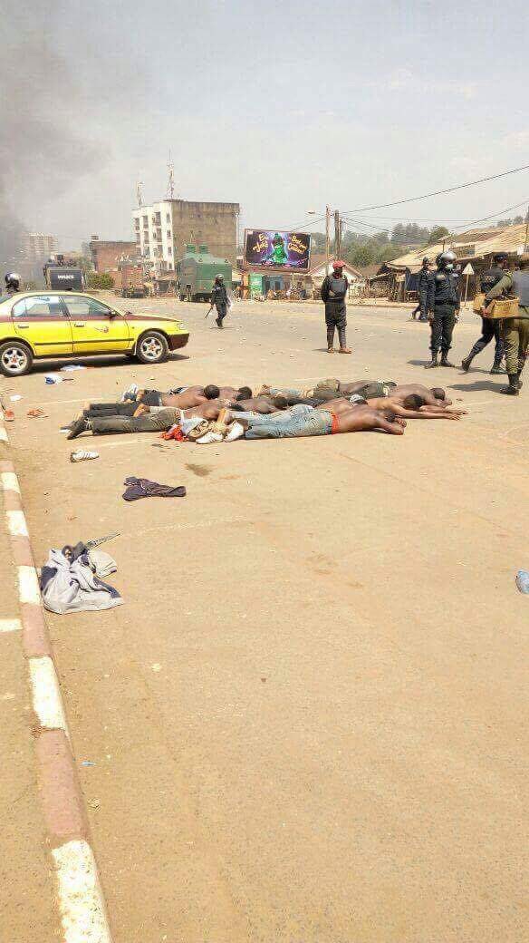 sylviewatikum's tweet photo. Pls add your voice @Pontifex genocide of minorities in Cameroon @minorityrights #bringbackourinternet #freesoutherncameroons @vaticannews https://t.co/lCUhs6sGvd