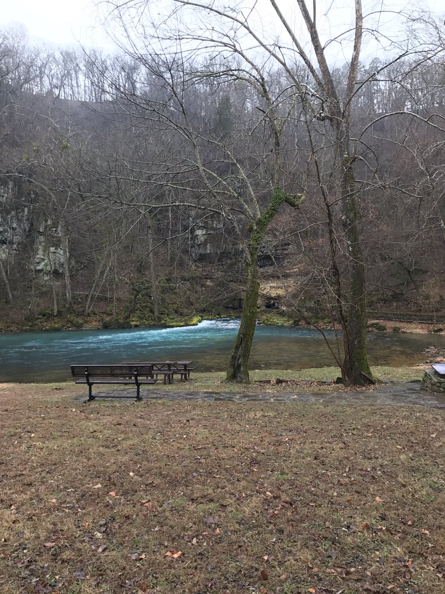 steven_wolf's tweet photo. #BigSpringStatePark https://t.co/9h0hJpoHgu