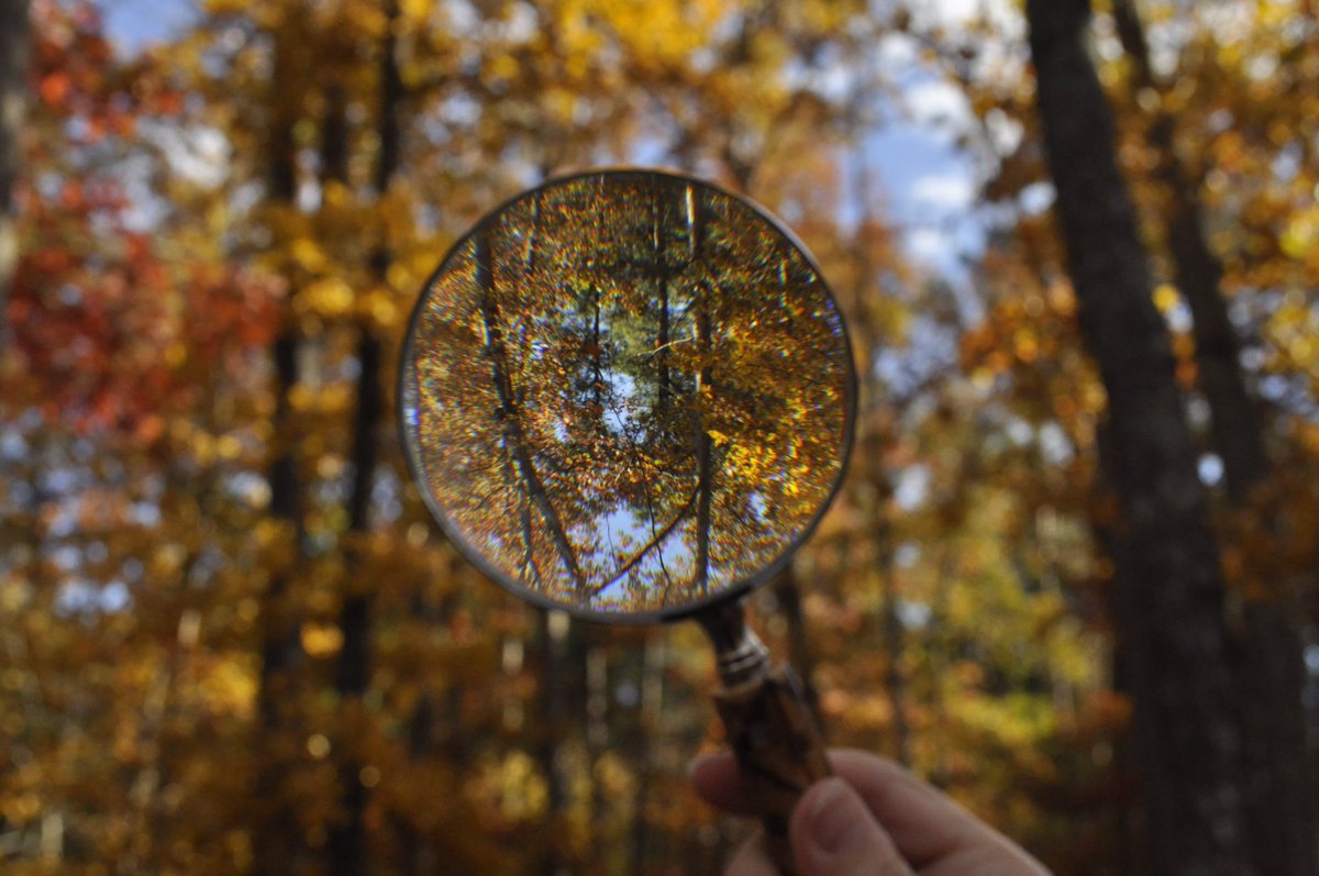 tamika_kat's tweet photo. Magnify glass #nature #photography #magnifyglass #sky #lake #water #trees #boats https://t.co/zS5Noklvhs